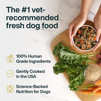 Fresh Wet Dog Food with Human-Grade Ingredients