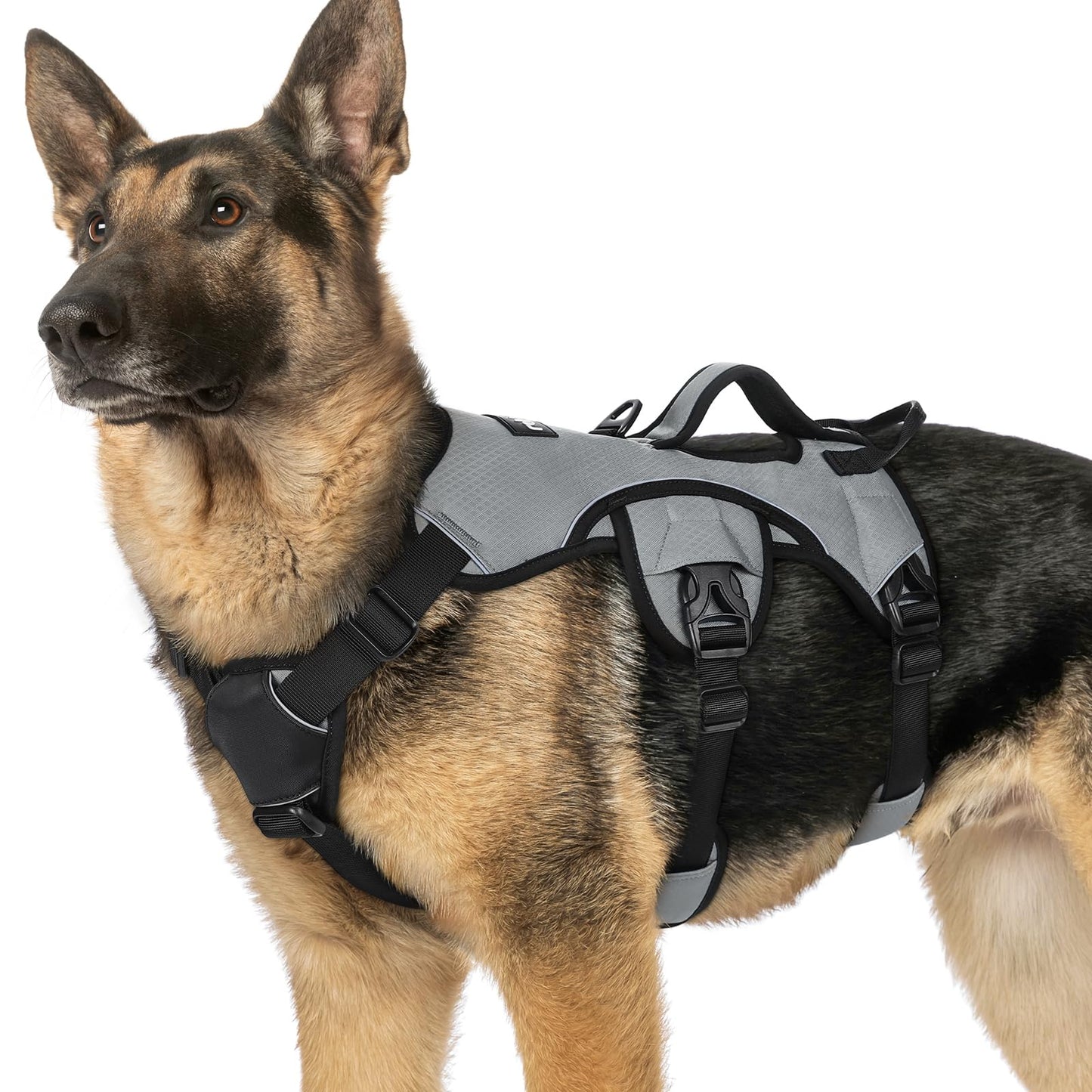 No-Pull Dog Harness with Lift Handle