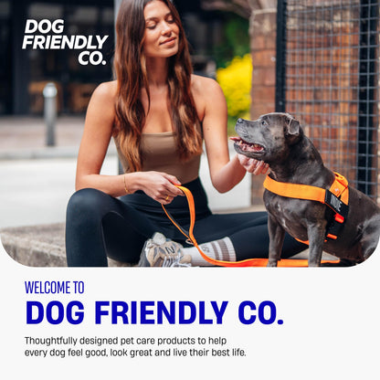 Comfort-Fit Everyday Dog Harness