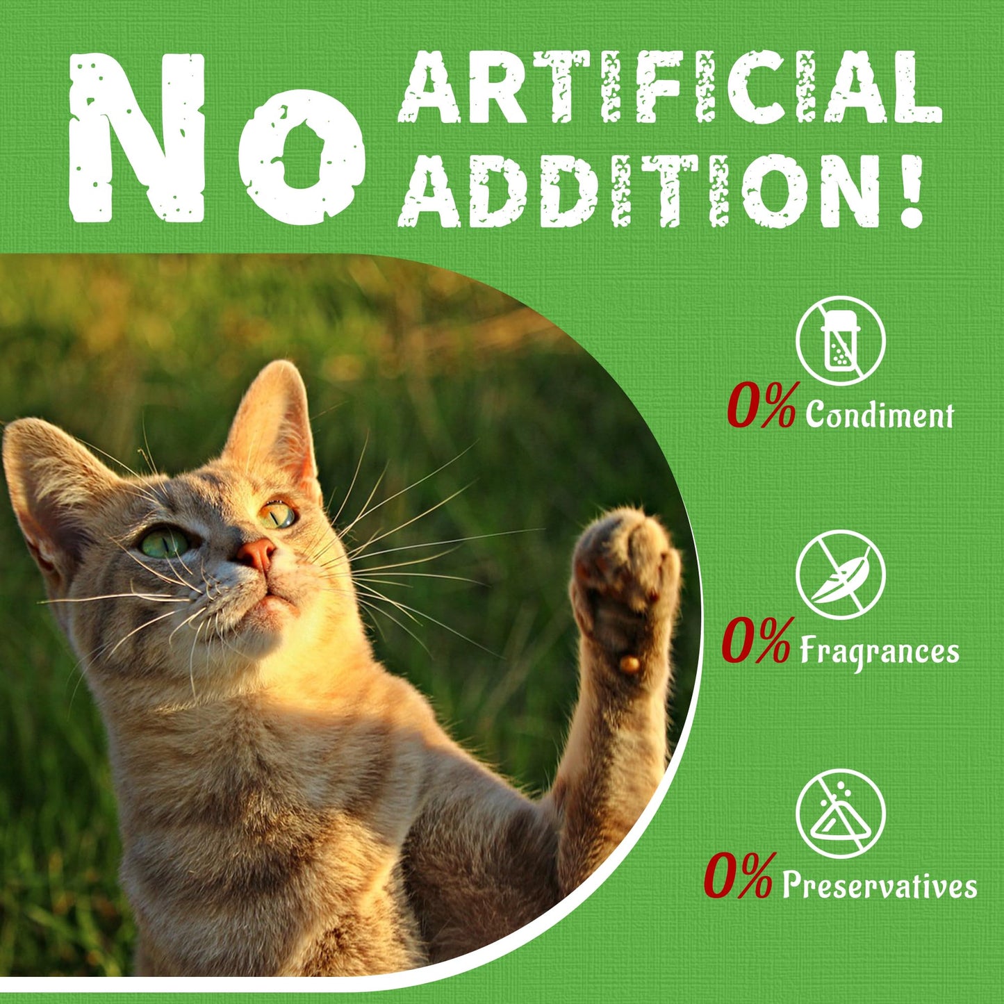 Natural Cat Treats for Training & Daily Rewards