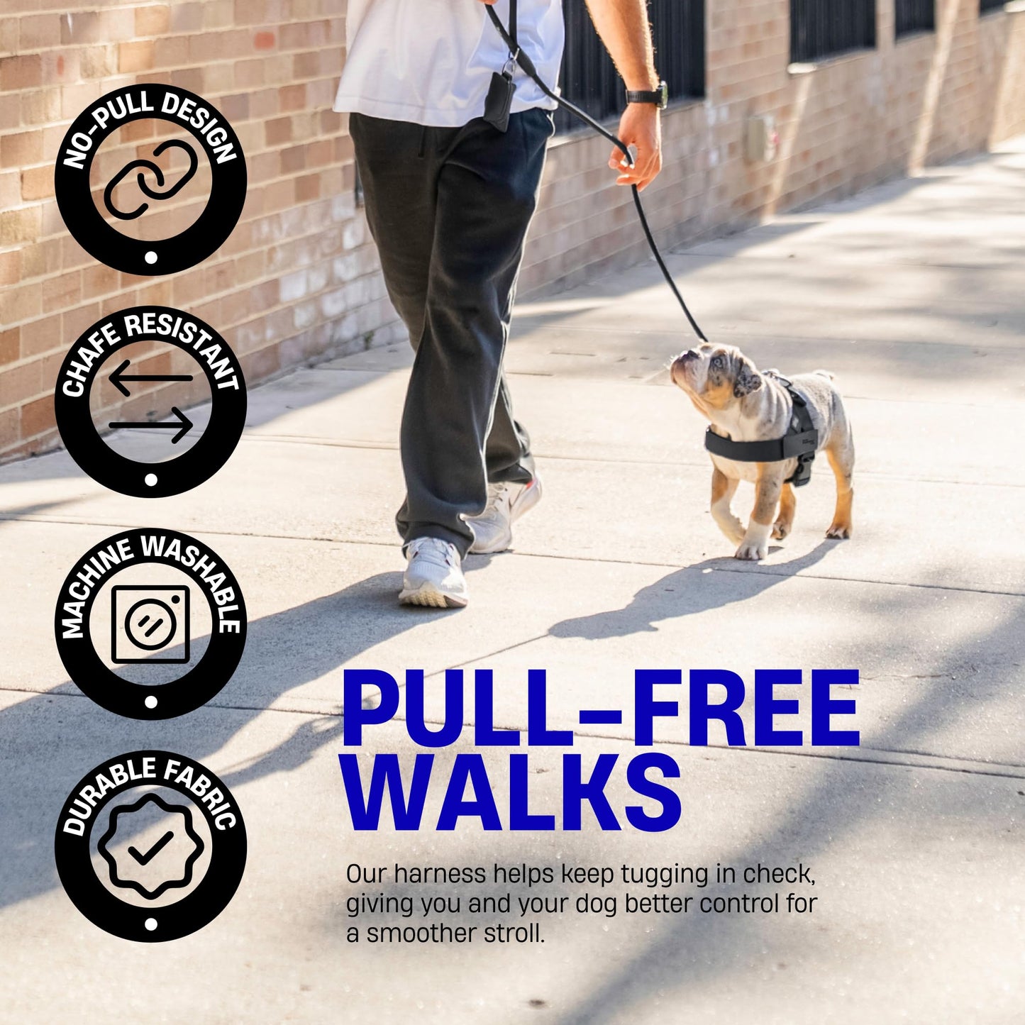 Comfort-Fit Everyday Dog Harness