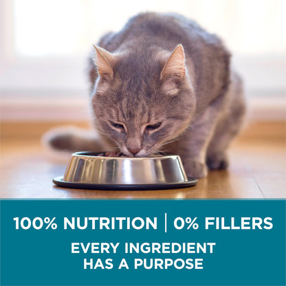 Natural Dry Cat Food with Real Chicken