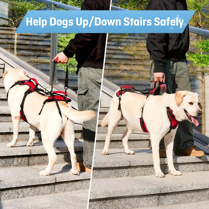 Full-Body Dog Lift Harness for Senior Dogs