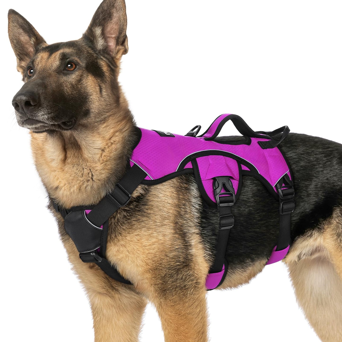 No-Pull Dog Harness with Lift Handle