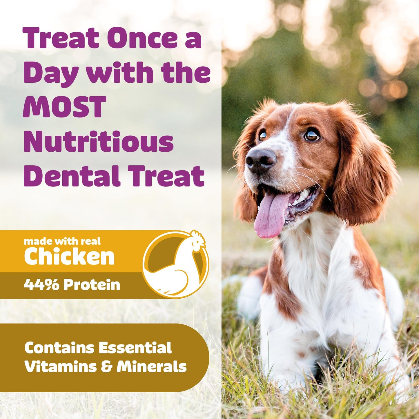 Dental Dog Treats for Daily Chewing & Oral Care