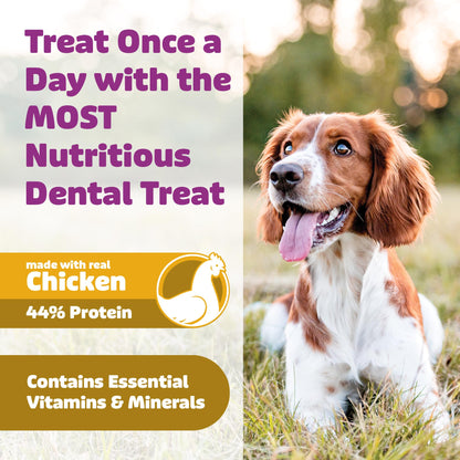 Dental Dog Treats for Daily Chewing & Oral Care