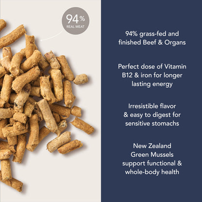 High-Protein Grain-Free Wet Dog Food Pâté
