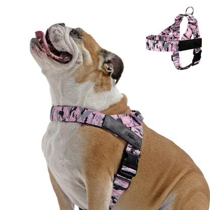 Comfort-Fit Everyday Dog Harness