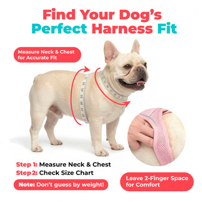 Breathable Step-In Dog Harness for Daily Walks