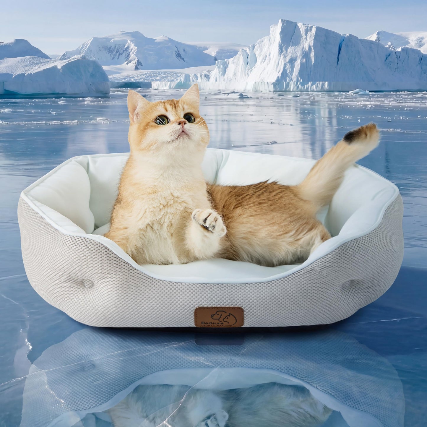 Washable Round Pet Bed for Small Dogs & Cats