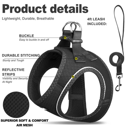 Breathable Dog Harness & Leash Set