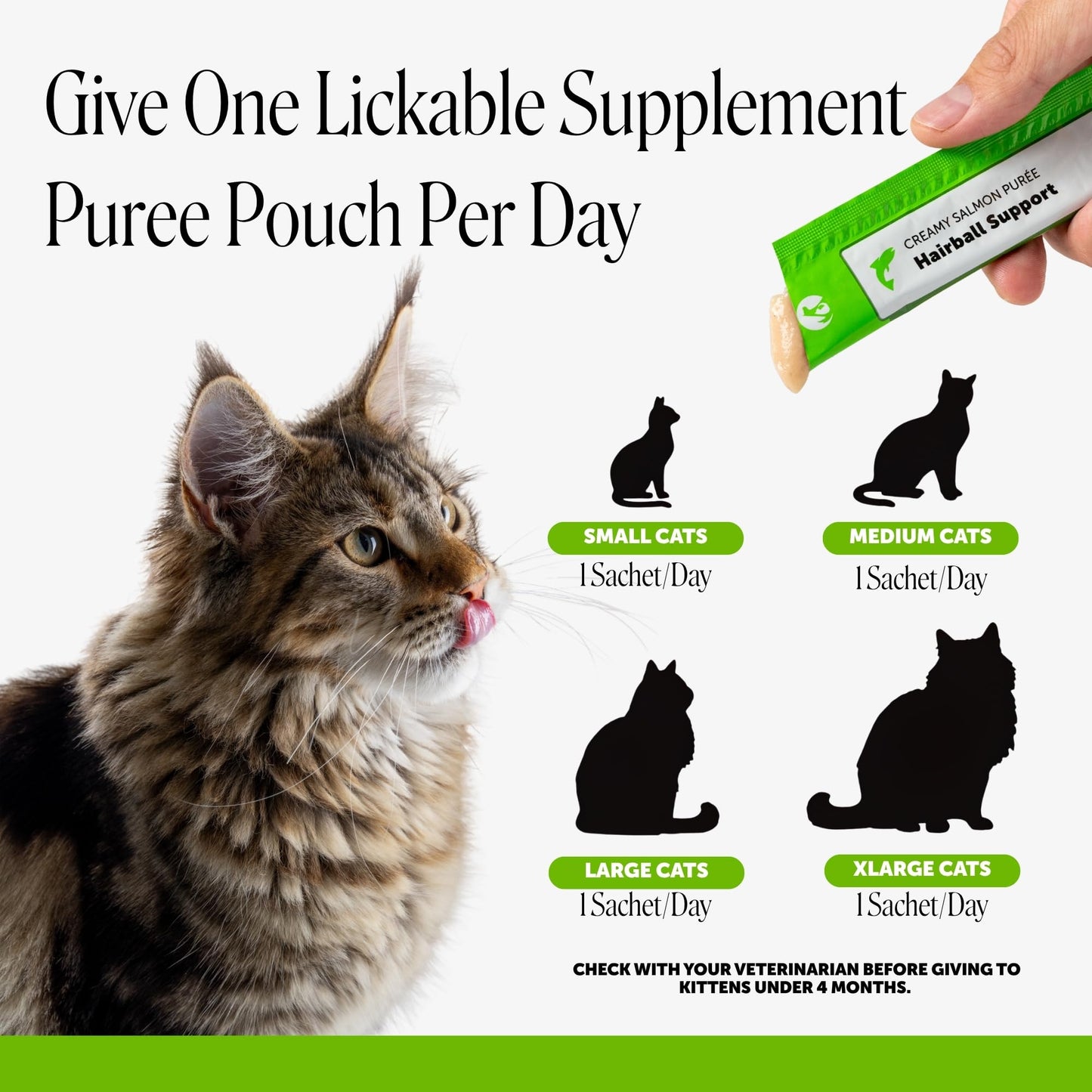 Probiotic Cat Supplement for Digestion & Gut Health