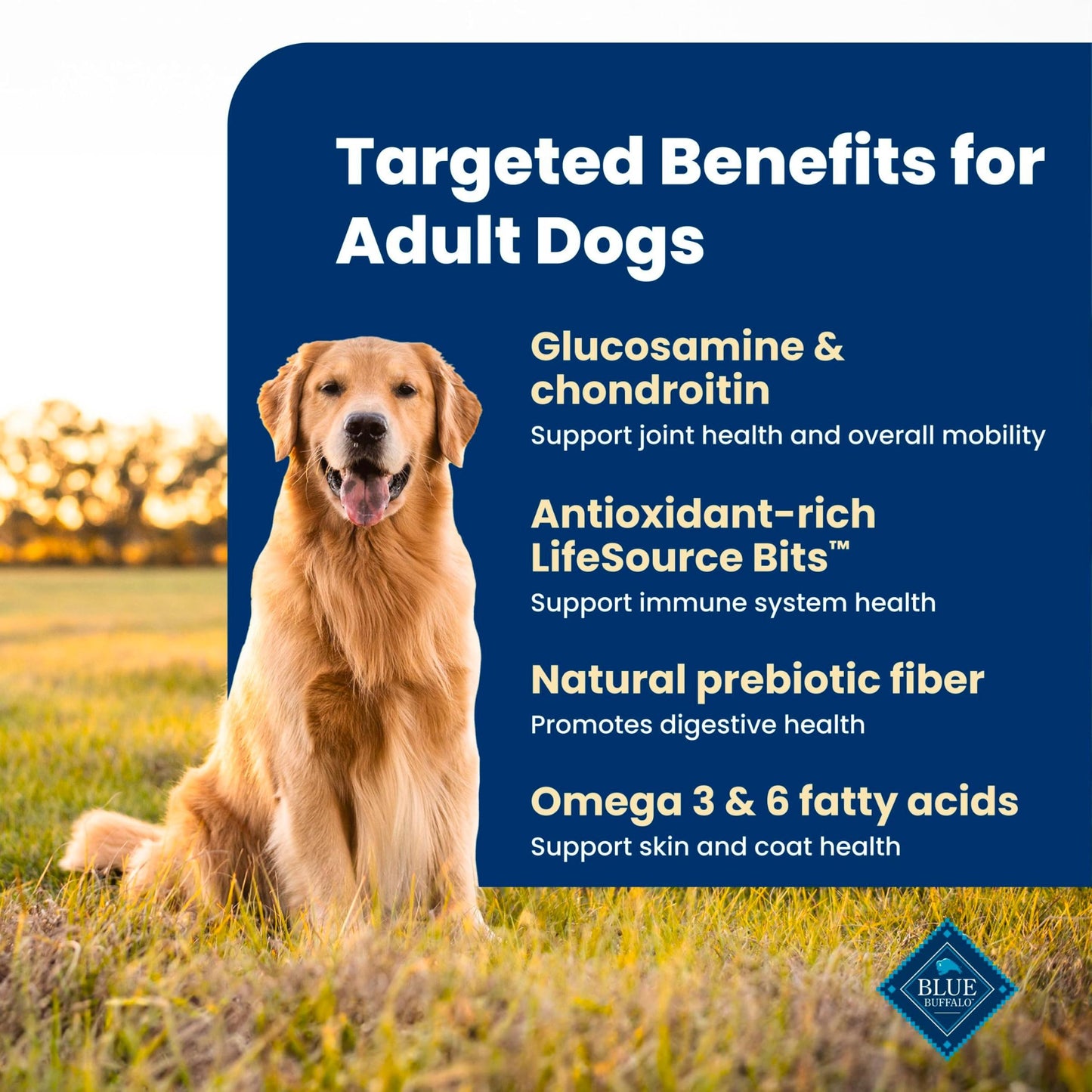 Blue Buffalo Life Protection Formula Adult Dry Dog Food