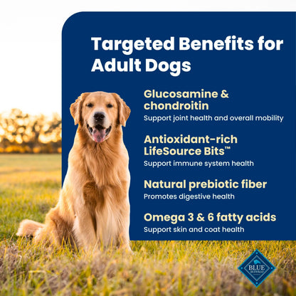 Adult Dry Dog Food for Daily Nutrition