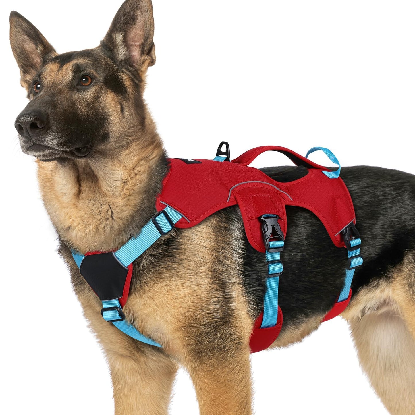 No-Pull Dog Harness with Lift Handle