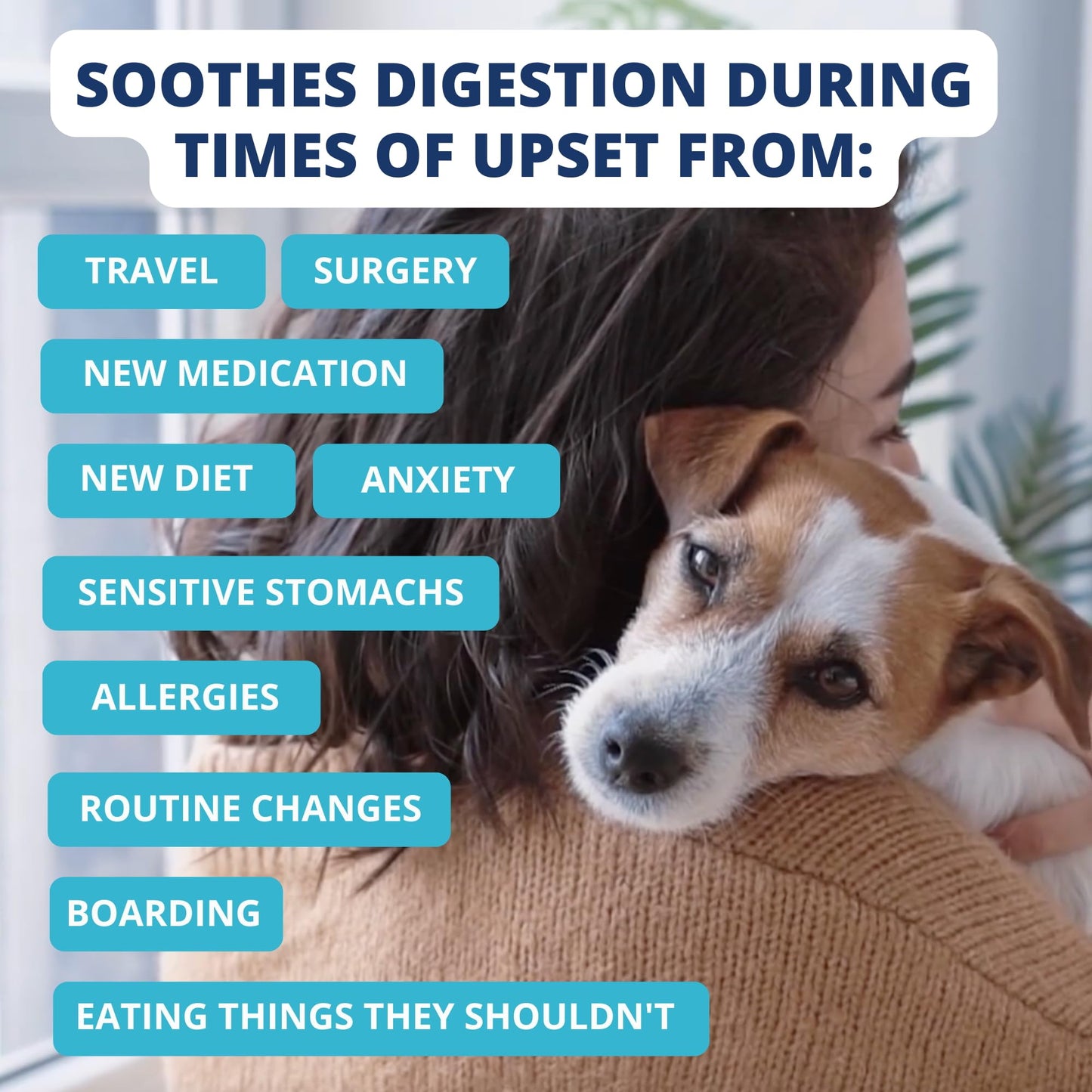 Easy-Digest Bland Diet Dog Food with Electrolytes