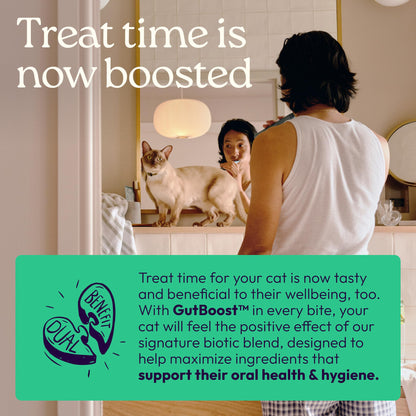 Chicken Cat Treats for Skin, Coat & Gut Health