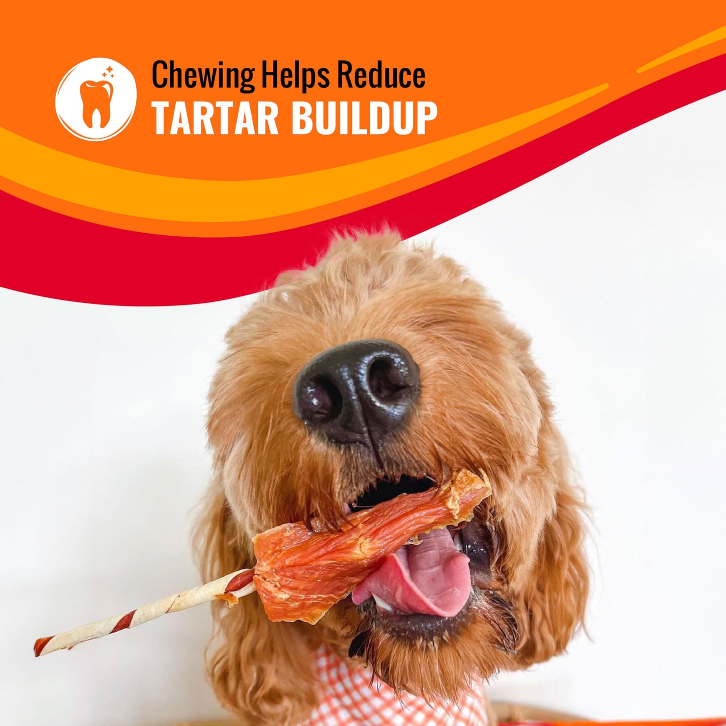 Long-Lasting Dog Treats with Real Protein