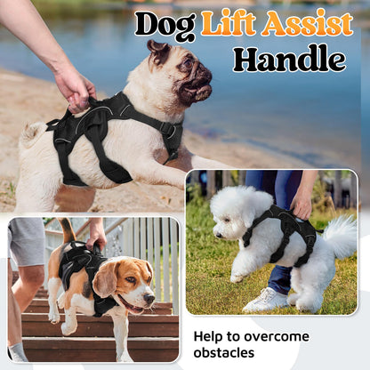 No-Pull Dog Harness with Lift Handle