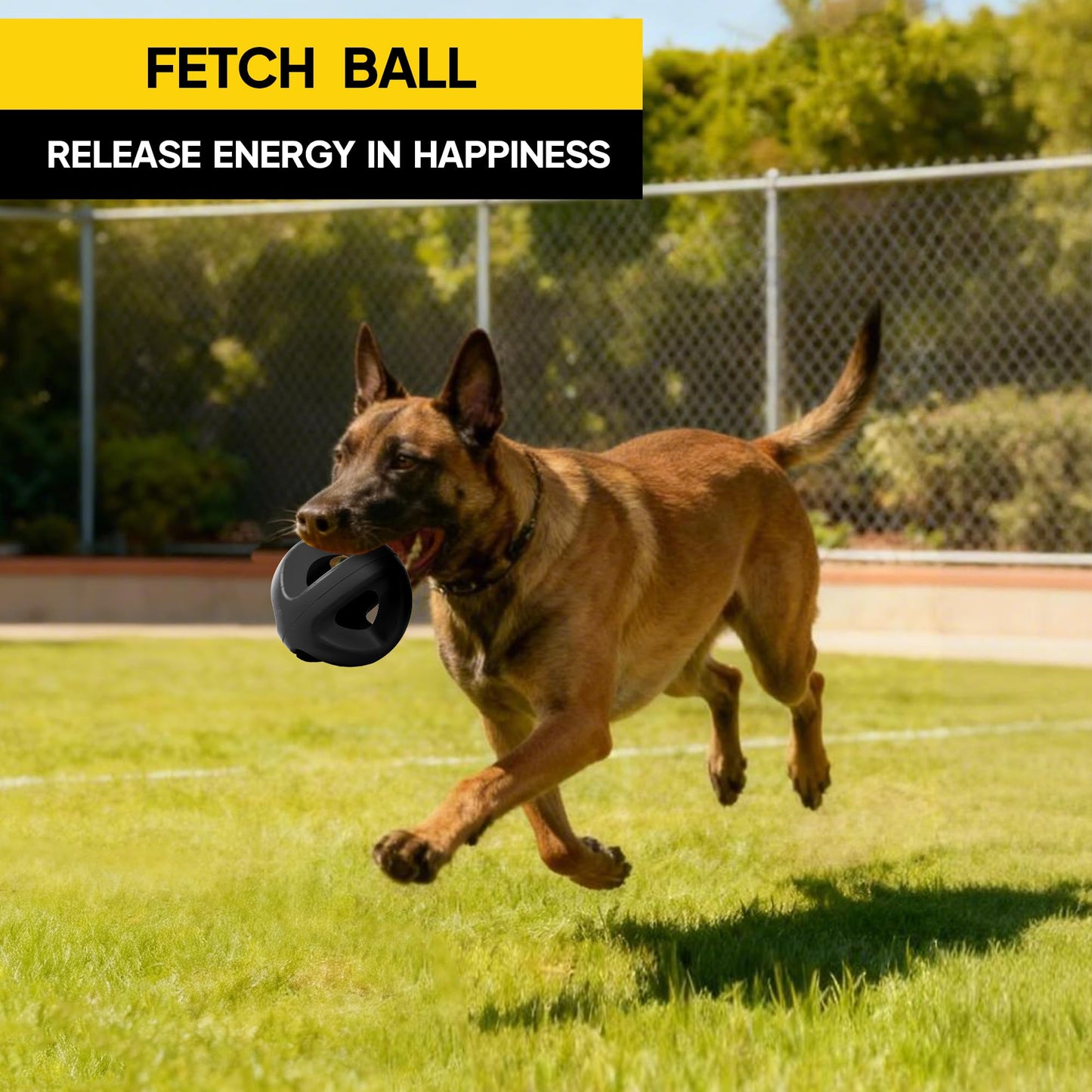Tough Rubber Dog Ball for Chewing & Fetch