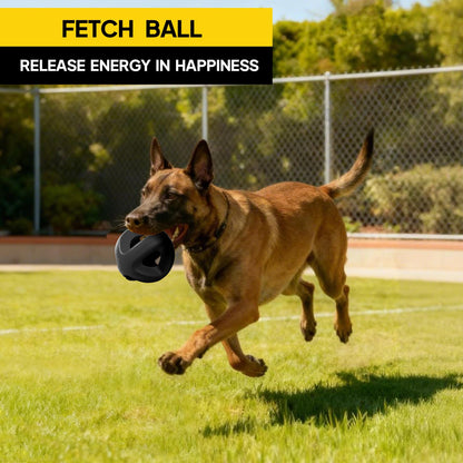 Tough Rubber Dog Ball for Chewing & Fetch