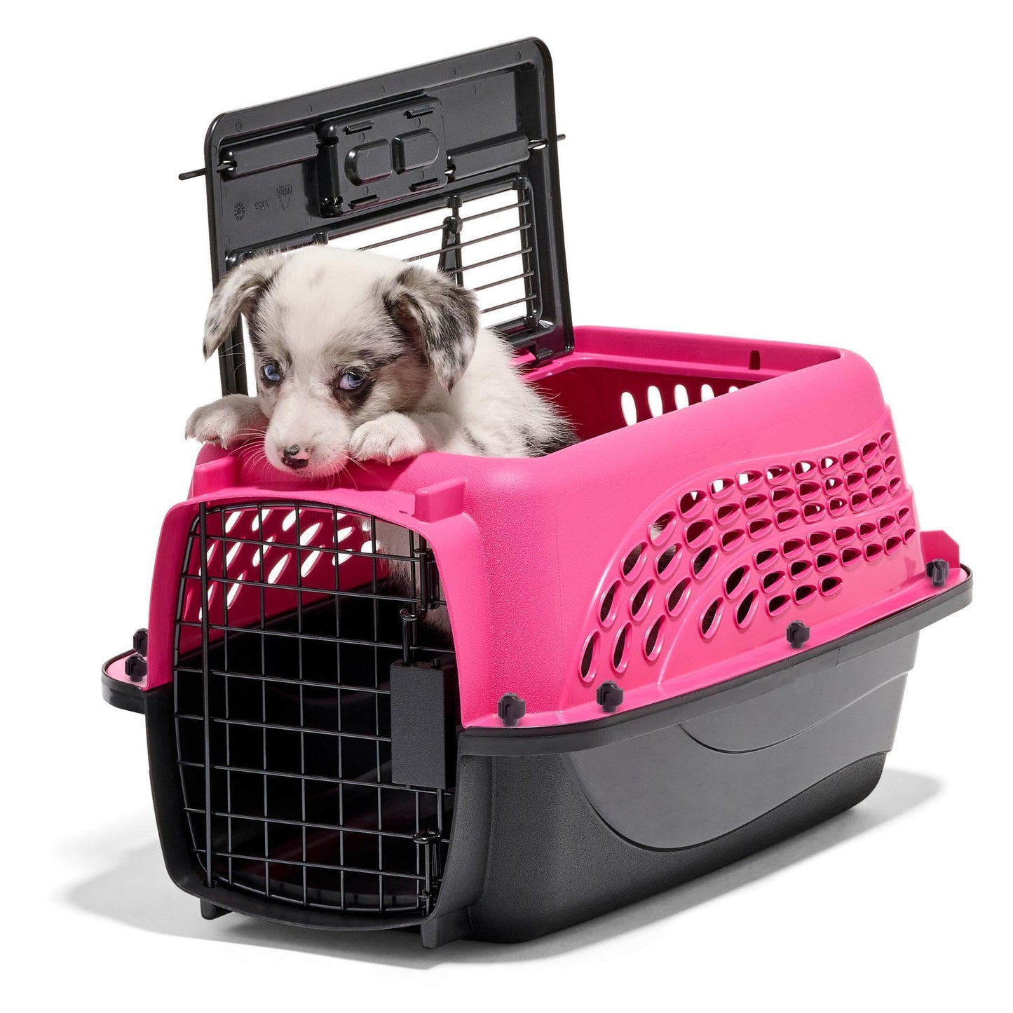 Two-Door Top-Load Pet Kennel for Small Pets
