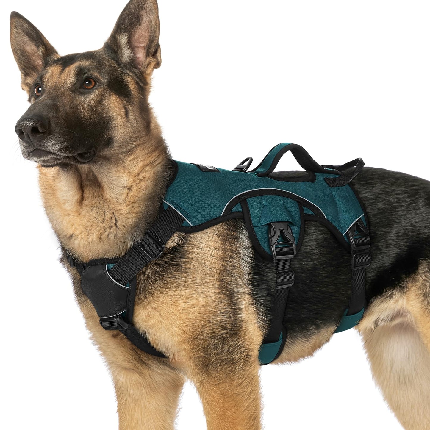 No-Pull Dog Harness with Lift Handle