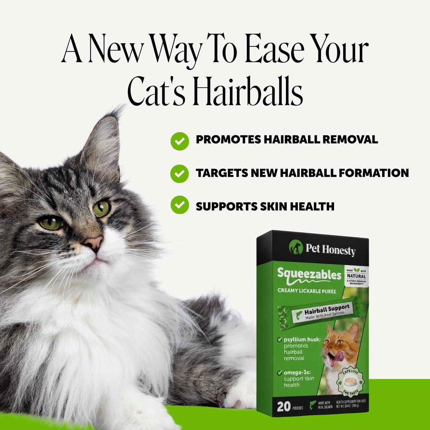 Probiotic Cat Supplement for Digestion & Gut Health