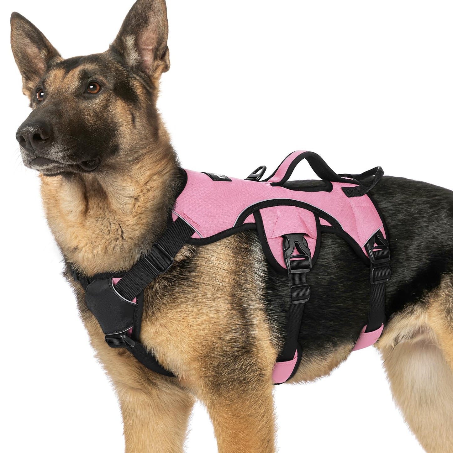 No-Pull Dog Harness with Lift Handle