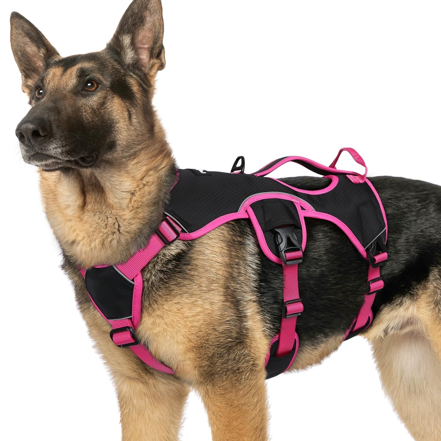 No-Pull Dog Harness with Lift Handle