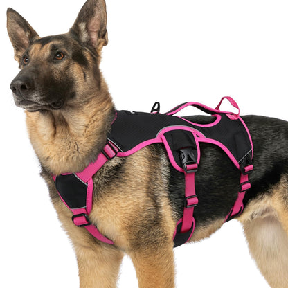 No-Pull Dog Harness with Lift Handle