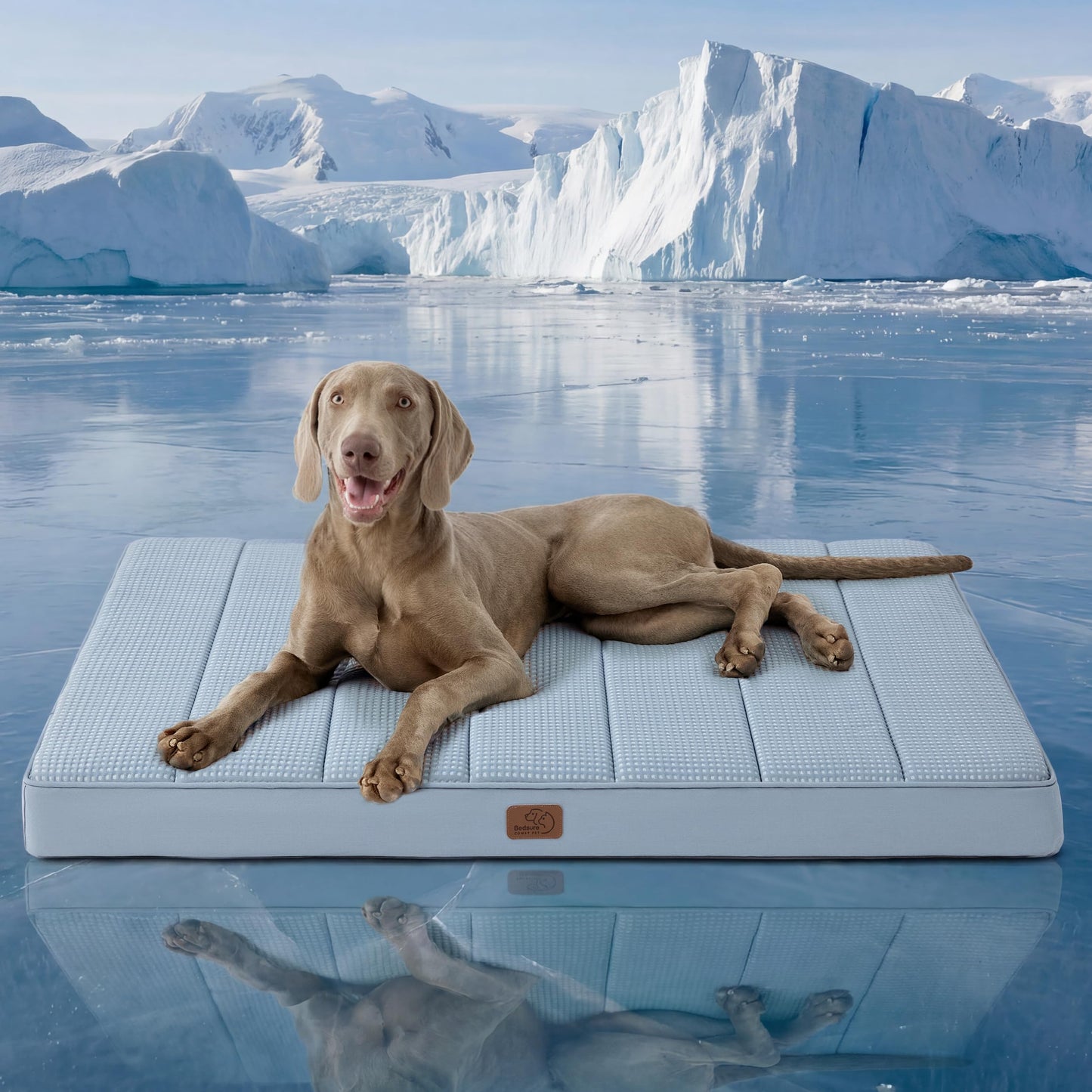 Washable Sherpa Dog Bed for Large Dogs