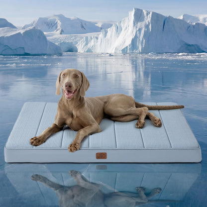 Washable Sherpa Dog Bed for Large Dogs