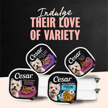 Adult Wet Dog Food Loaf in Sauce Variety Pack
