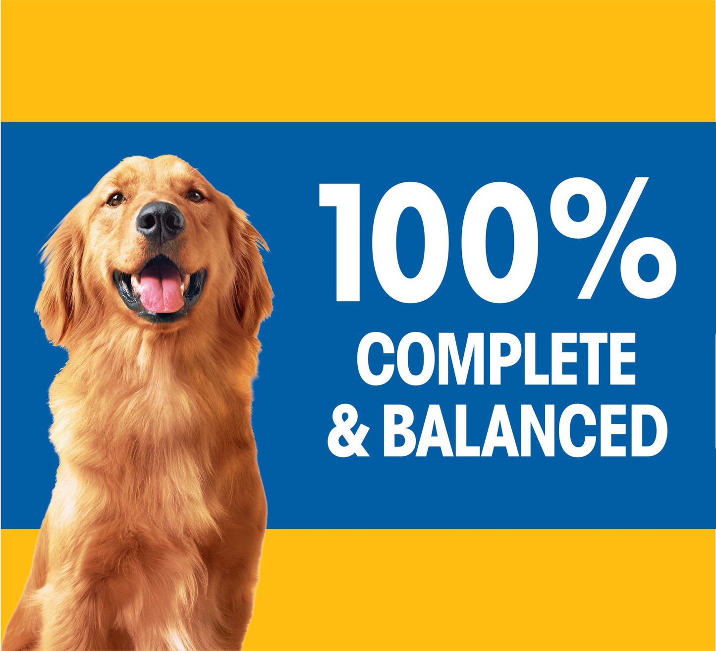 Pedigree Complete Nutrition Adult Dry Dog Food