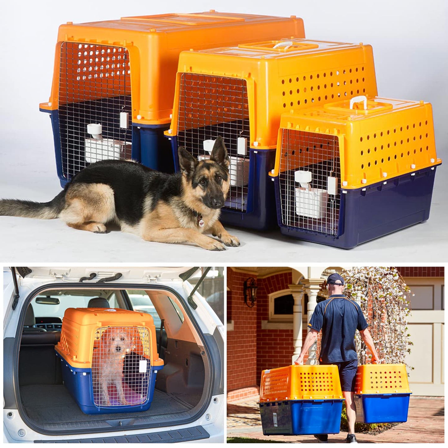 Pet Crate, Airline Approved Pet Carrier, 7 Sizes