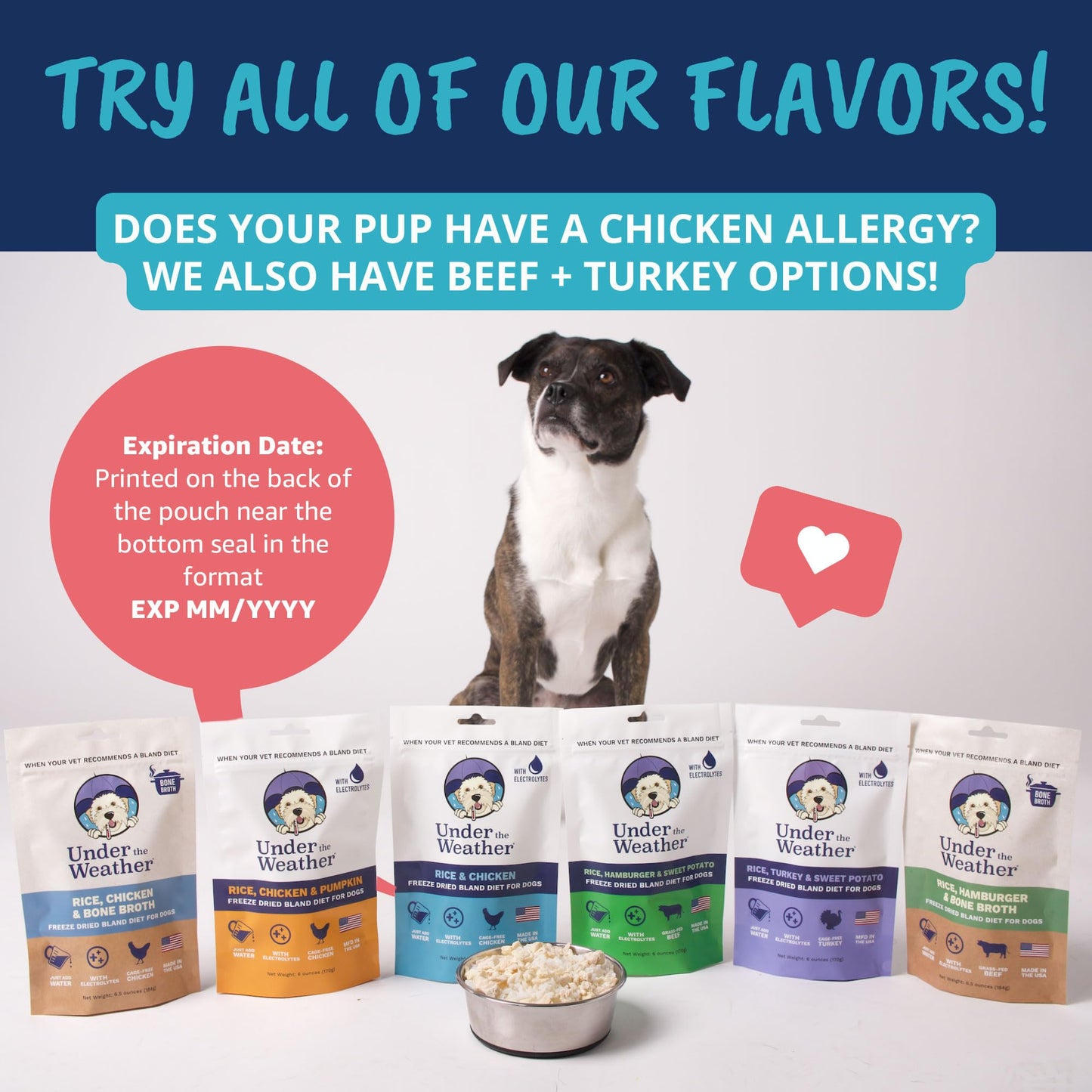 Easy-Digest Bland Diet Dog Food with Electrolytes