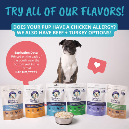 Easy-Digest Bland Diet Dog Food with Electrolytes