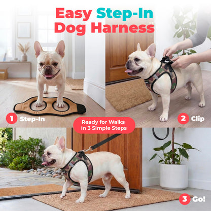 Breathable Step-In Dog Harness for Daily Walks