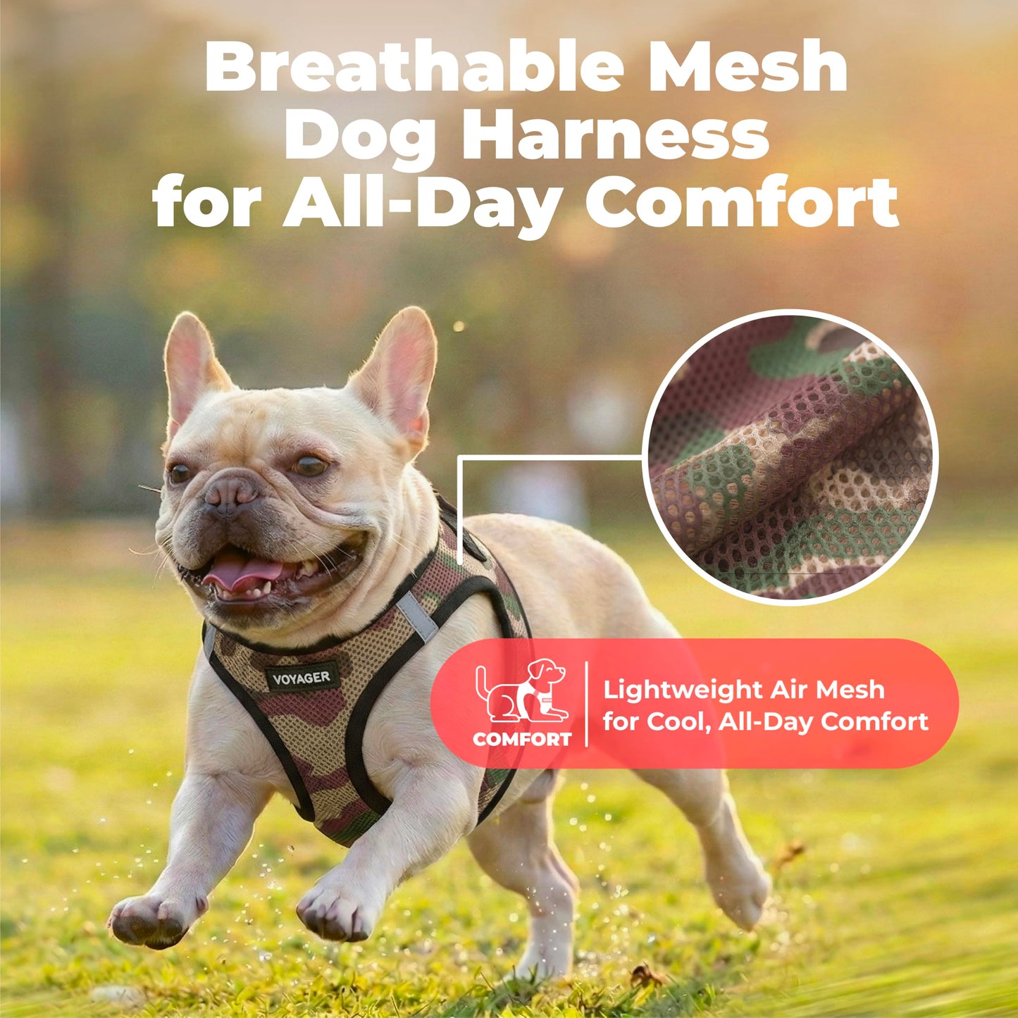 Breathable Step-In Dog Harness for Daily Walks