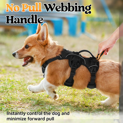 No-Pull Dog Harness with Lift Handle
