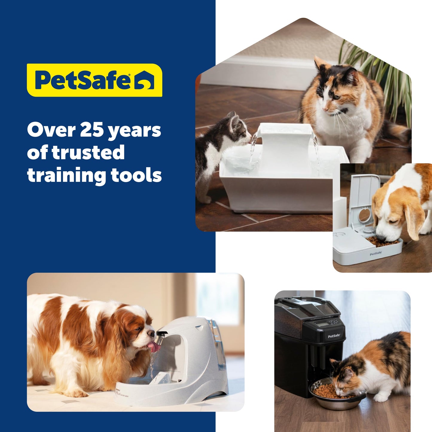 168 oz Pet Water Fountain for Dogs & Cats