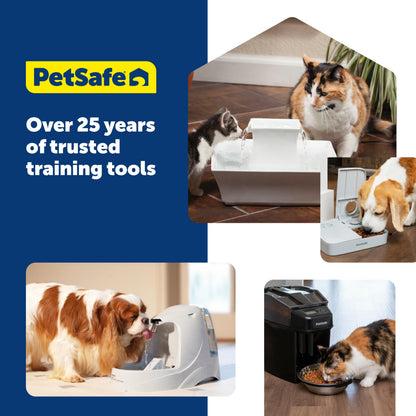 168 oz Pet Water Fountain for Dogs & Cats