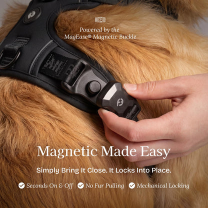 Cloud Comfort Dog Harness for Medium & Large Dogs