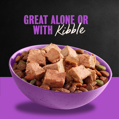 Adult Wet Dog Food Loaf in Sauce Variety Pack