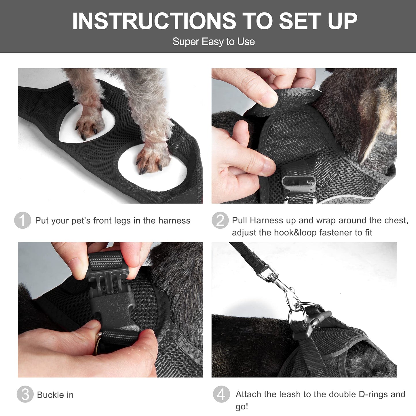 Breathable Dog Harness & Leash Set