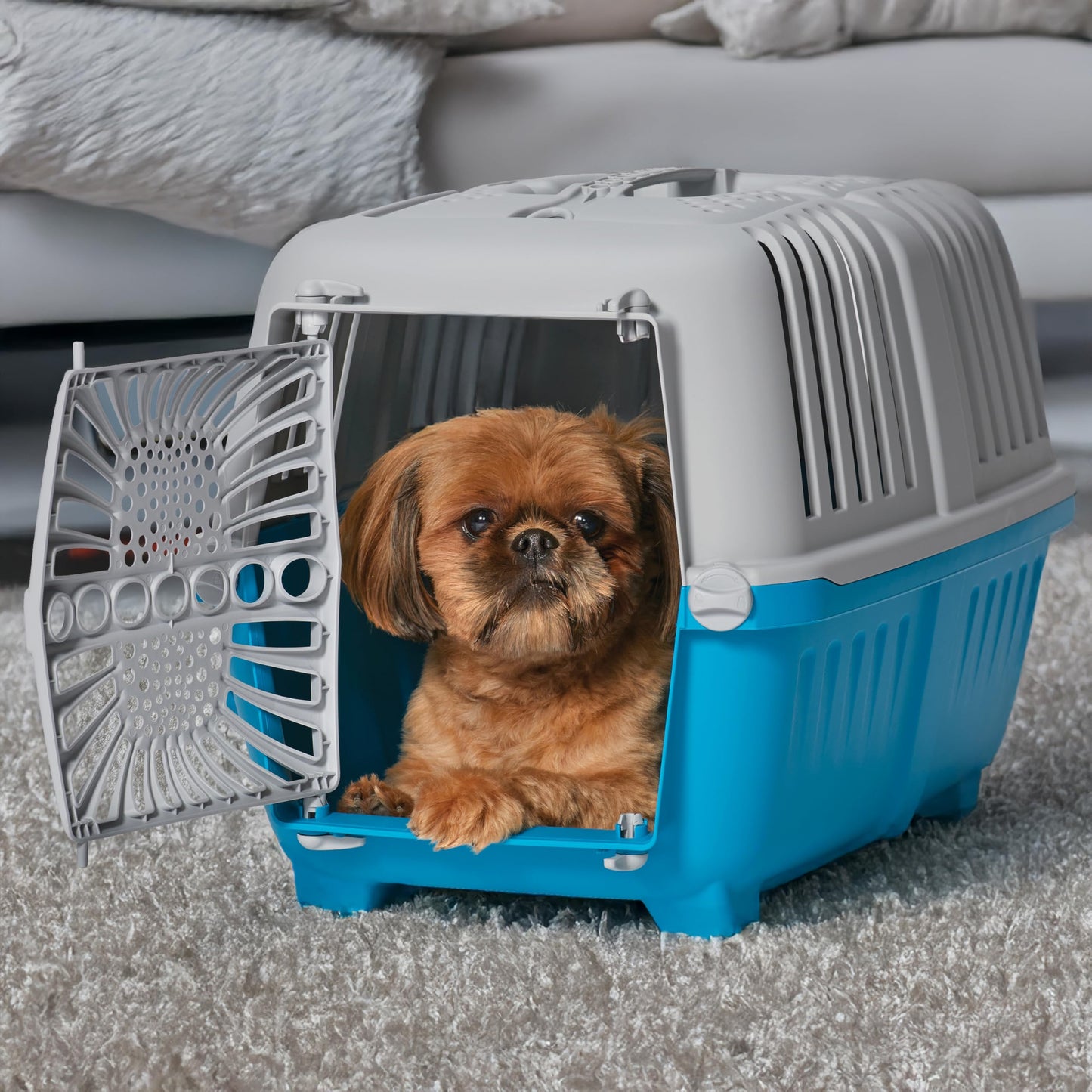Small Pet Travel Kennel for Dogs & Cats