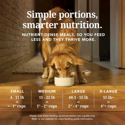 High-Protein Grain-Free Wet Dog Food Pâté