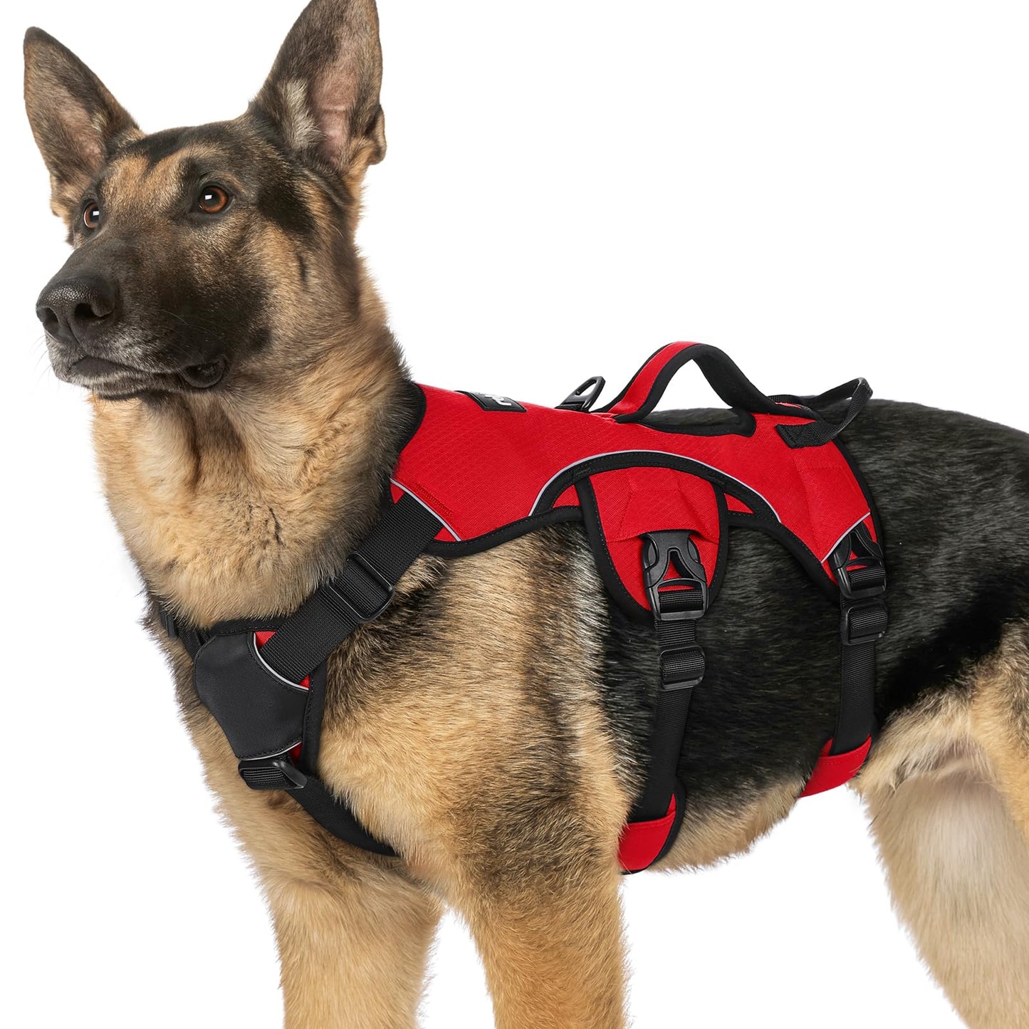 No-Pull Dog Harness with Lift Handle