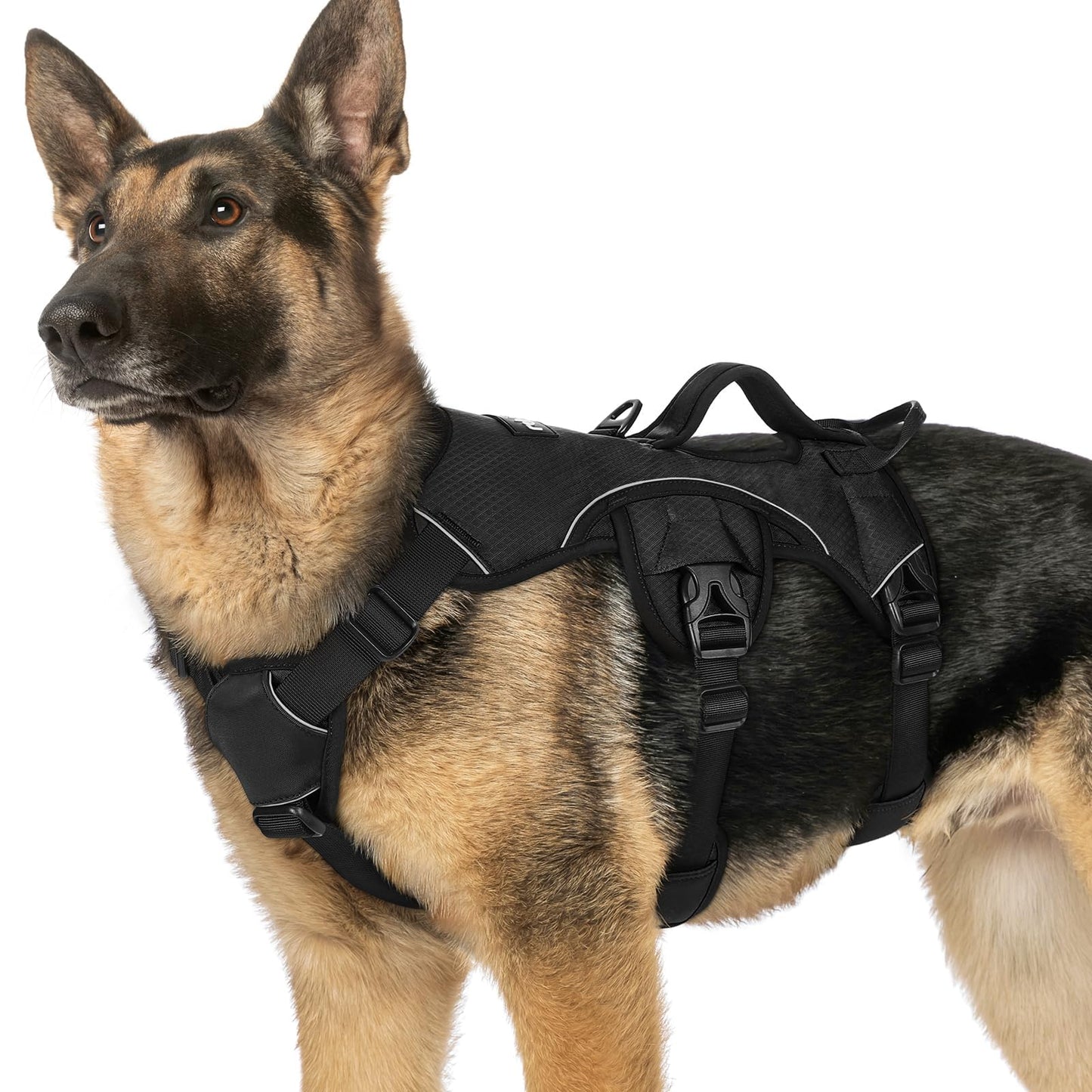 No-Pull Dog Harness with Lift Handle